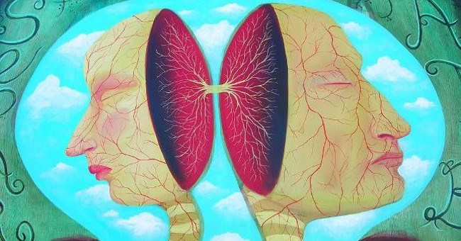 Người có não tách đôi, linh hồn họ có bị chia làm 2 nửa khác nhau không?