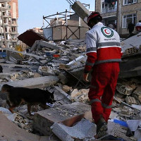 Động đất ở biên giới Iran-Iraq: Đã có tới gần 7.000 người chết