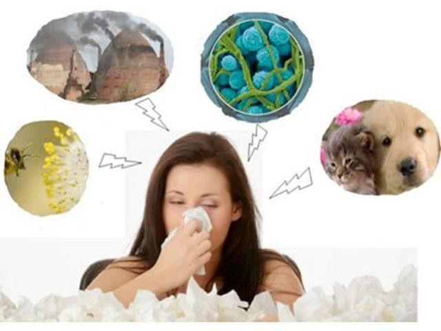 Cách phòng tránh viêm mũi dị ứng mùa lạnh ẩm