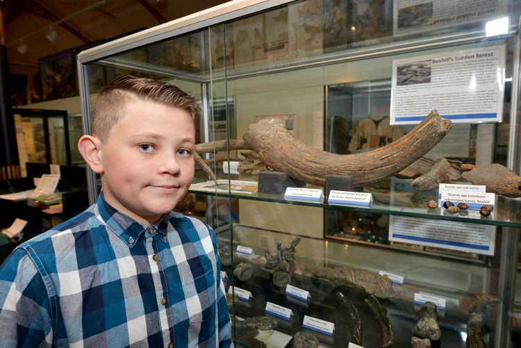 Archie Wood, 13 tuổi, tìm thấy hóa thạch sừng bò khổng lồ ở bãi biển Bexhill.