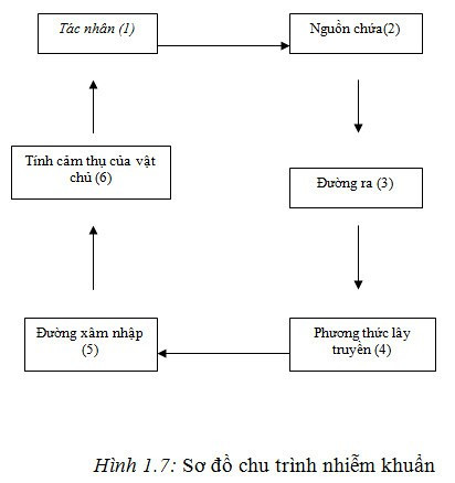 Nhiễm khuẩn bệnh viện là gì? Cách phòng tránh nhiễm khuẩn bệnh viện
