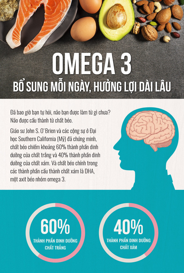 Có bao giờ bạn hỏi não được cấu thành từ chất gì?