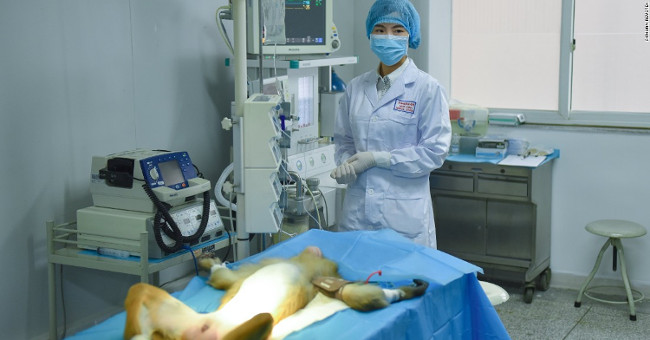 Trung Quốc phát triển máy in 3D sinh học có thể sản xuất mô người