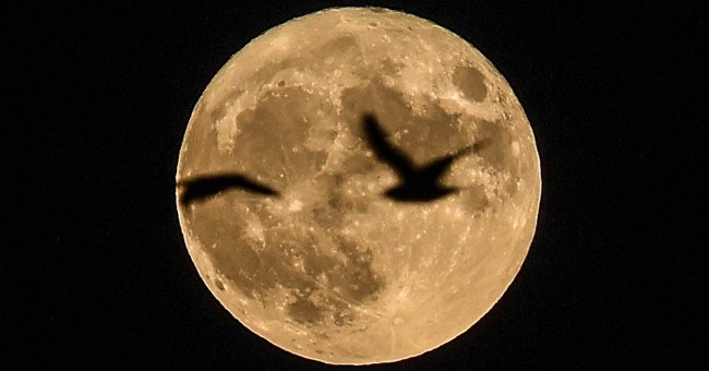 Cuối tuần này, chúng ta sẽ được chiêm ngưỡng siêu trăng