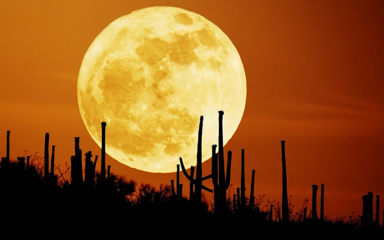 Chùm ảnh siêu trăng hồng lớn nhất năm 2020 ở nhiều nước trên thế giới