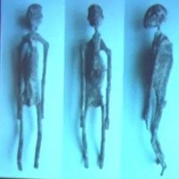 "Bộ xương người ngoài hành tinh" được tìm thấy ở Peru là thật?