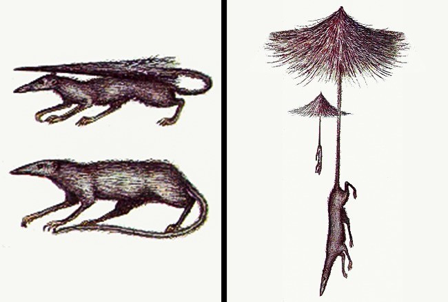 Không thể tin được đây là những loài sinh vật sẽ sống cùng ta trong tương lai
