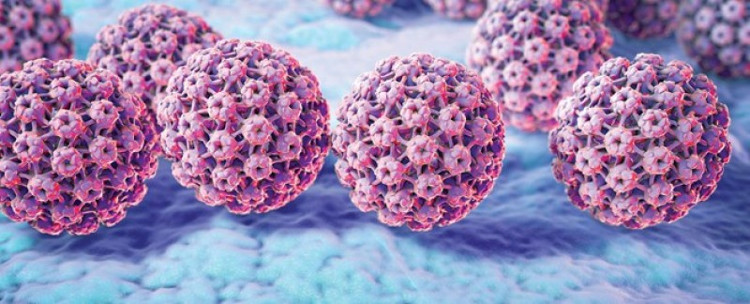 Virus HPV thầm lặng hủy diệt sức khỏe phụ nữ như thế nào?