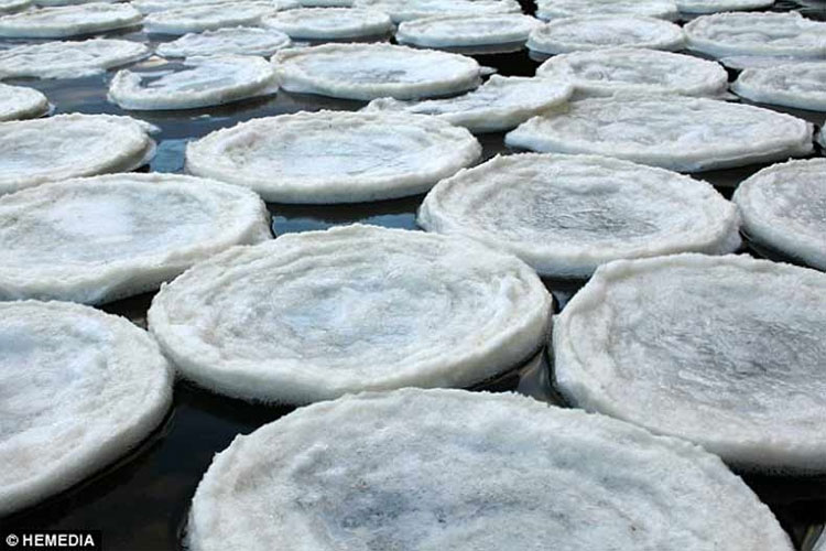 Những hiện tượng thiên nhiên lạ lùng chỉ xảy ra khi trời lạnh