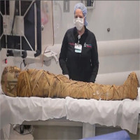 Khối u ung thư trong xác ướp Ai Cập 2.000 năm