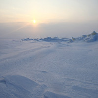 Sinh vật kỳ dị ở Nam Cực: Khoa học phải nghĩ lại việc tìm sự sống ngoài Trái đất