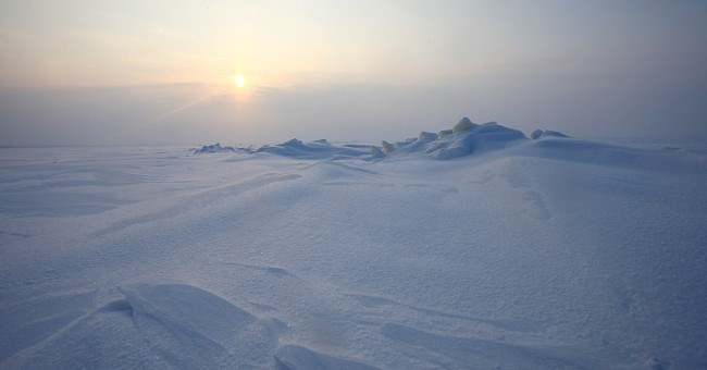 Sinh vật kỳ dị ở Nam Cực: Khoa học phải nghĩ lại việc tìm sự sống ngoài Trái đất