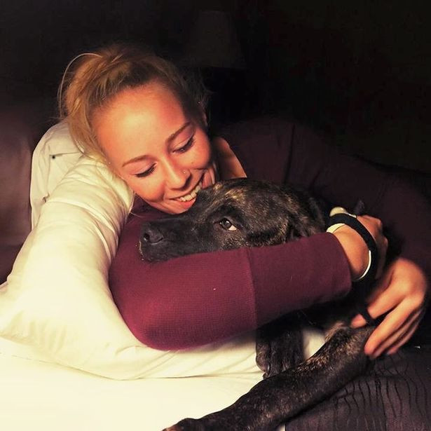 Mỹ: Những lý do đáng sợ khiến chó pit bull giết và ăn thịt chủ