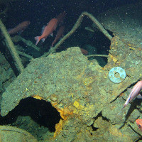 Tàu ngầm đầu tiên của Úc đã được tìm thấy sau hơn 100 năm biến mất