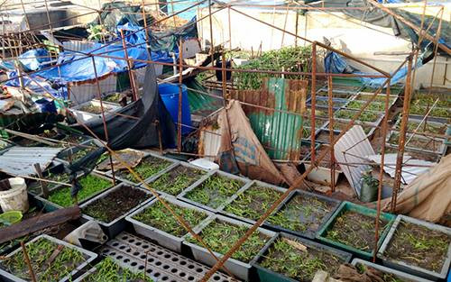 Bão Tembin quét qua, nhà giàn DK1 rung lắc