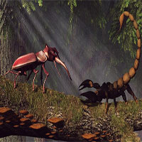 Bọ cánh cứng khổng lồ "so càng" bọ cạp hoàng đế: Loài nào xứng danh vô địch?