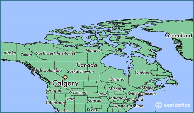 -40 độ C, Canada lạnh đến nỗi chim cánh cụt phải 