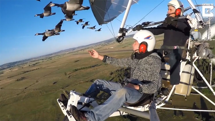 Christian đã bắt đầu làm công việc này từ năm 1990.