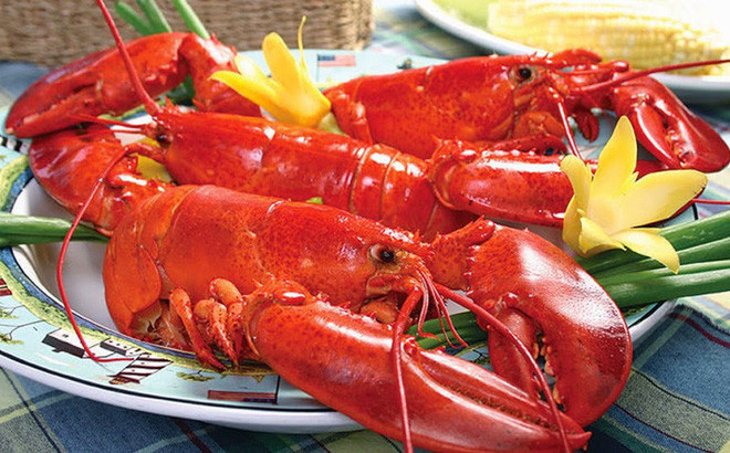 Muốn luộc tôm hùm sống: Hãy quên điều đó đi nếu bạn đang ở Thụy Sĩ!