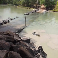 Cá sấu cướp mồi của cần thủ trên khúc sông tử thần