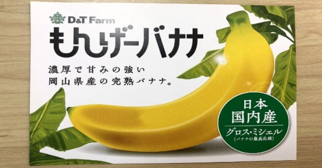 Nhật Bản lai tạo thành công chuối có thể ăn cả vỏ, giá 6 USD/quả