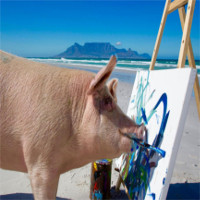 Lợn được cứu khỏi lò mổ vẽ tranh hàng nghìn đô