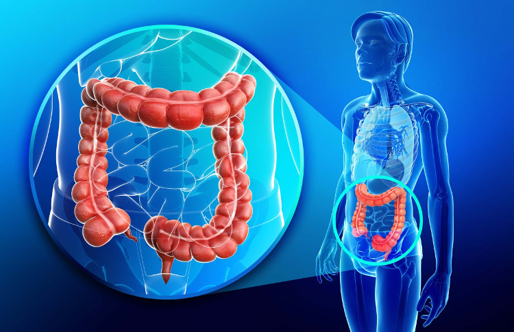 Cách vi sinh vật trong ruột 