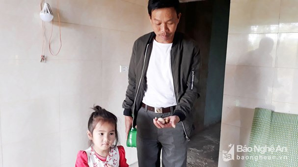 Chuyện lạ có thật: Gà trống đẻ trứng ở Nghệ An