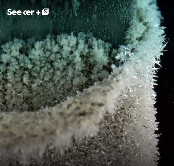 Phản ứng thế kim loại.