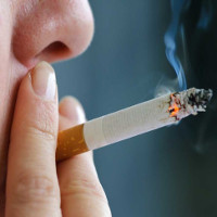 Tại sao hút thuốc dù chỉ một điếu mỗi ngày vẫn có hại cho sức khoẻ?