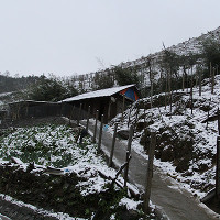 Tuyết rơi dày tại thác Bạc, Ô Quí Hồ (Sa Pa)