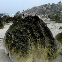 "Nghĩa địa" san hô hóa thạch 6.000 năm, rộng 20.000m2 ở Lý Sơn