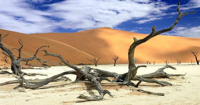 8 "lời đồn thổi" sai bét nhè mà ai cũng tin ở châu Phi