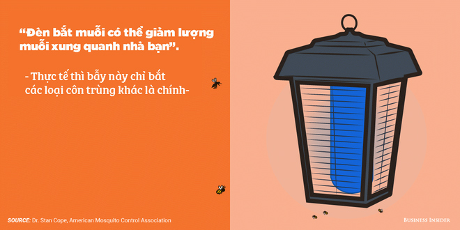 10 quan niệm sai lầm về phòng tránh muỗi: Hóa ra trồng sả có thể phản tác dụng