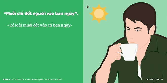 10 quan niệm sai lầm về phòng tránh muỗi: Hóa ra trồng sả có thể phản tác dụng