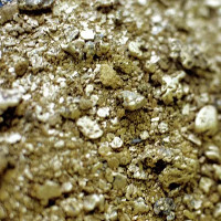 Phát hiện mỏ vàng, bạc 900 tấn ở Nga