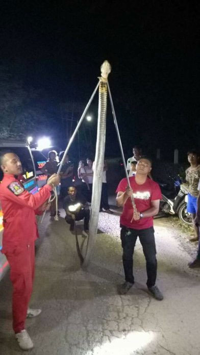 Thái Lan: Kinh hãi hổ mang chúa khổng lồ 5 mét mò vào nhà dân