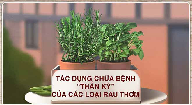 Tác dụng chữa bệnh thần kỳ của các loại rau thơm