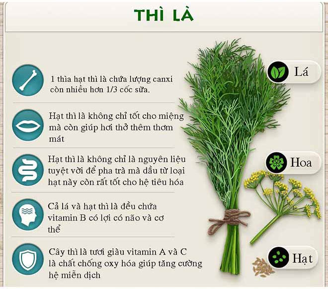 Tác dụng chữa bệnh thần kỳ của các loại rau thơm