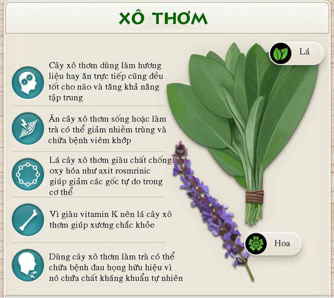 Tác dụng chữa bệnh thần kỳ của các loại rau thơm