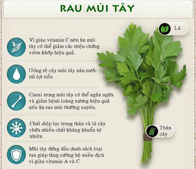 Tác dụng chữa bệnh thần kỳ của các loại rau thơm