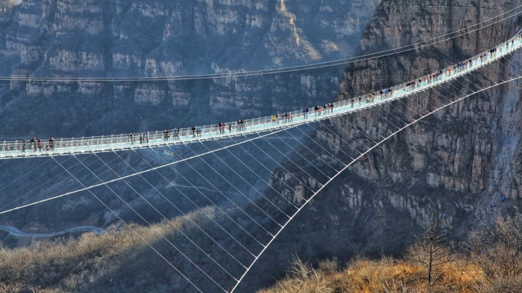 Cầu treo đáy kính dài nhất thế giới.