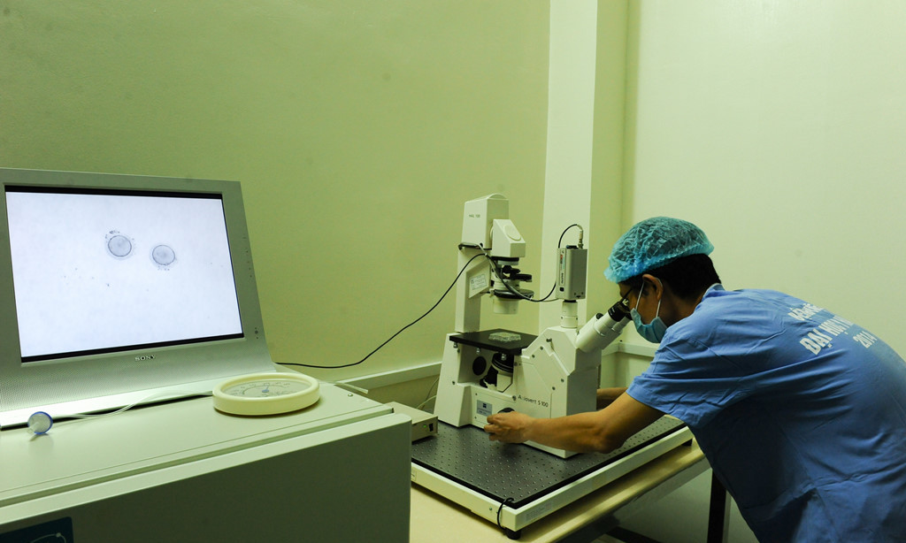 Quy trình tạo em bé trong ống nghiệm