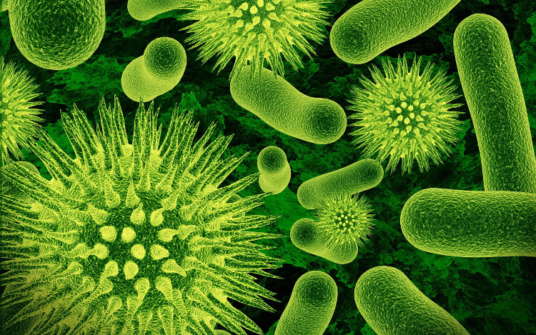 Dự án săn lùng 1,7 triệu virus chưa được biết đến