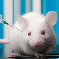 Thử nghiệm thành công vắc xin chống ung thư trên động vật
