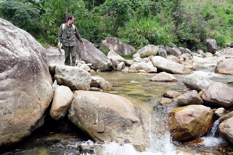 Hành trình tìm loài cá đắng quý hiếm trên dãy Hoàng Liên Sơn