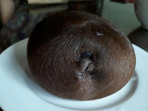 Dân mạng xôn xao bò đẻ ra 