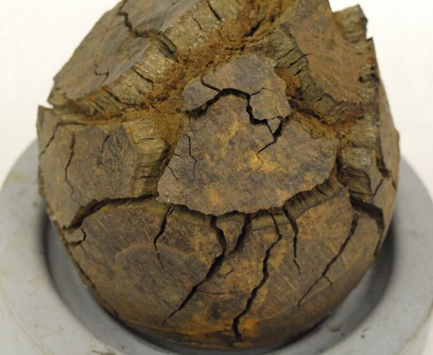 Dùng tia X để bảo vệ đạn súng thần công trên tàu Mary Rose