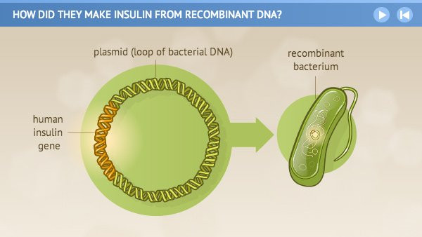 Lịch sử gần 100 của insulin - nguồn sống của những người bệnh tiểu đường