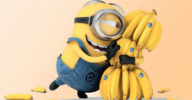 Đừng sốc khi biết sự thật này: Quá nửa cơ thể của chúng ta giống hệt... con ruồi và quả chuối